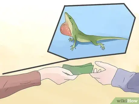 Image intitulée Care for Green Anole Lizards Step 4