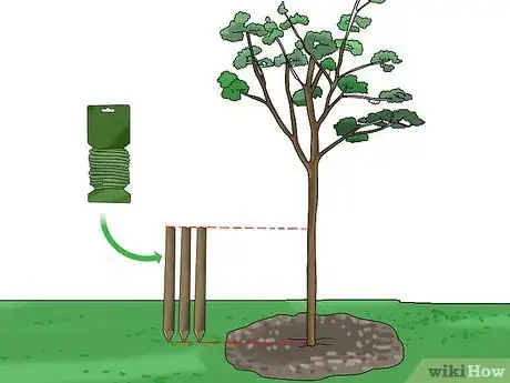 Image intitulée Stake up a Bush or Tree Step 6