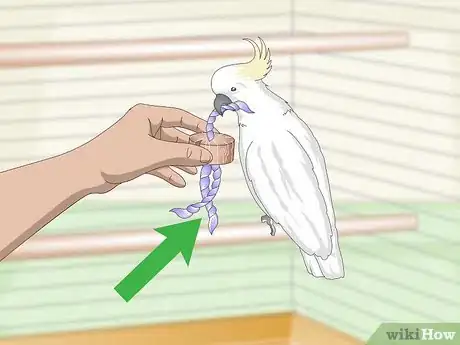 Image intitulée Choose a Cage for a Cockatoo Step 9