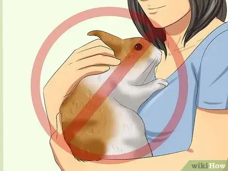 Image intitulée Care for a House Rabbit Step 3