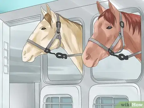 Image intitulée Prepare for a Horse Show Step 11
