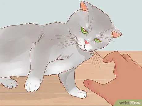 Image intitulée Train a Therapy Cat Step 10