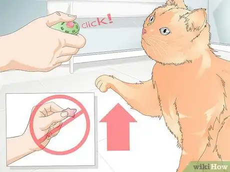 Image intitulée Teach Your Cat to Give a Handshake Step 14