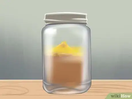 Image intitulée Make Almond Oil Step 6