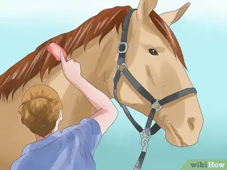 Image intitulée Prepare for a Horse Show Step 19
