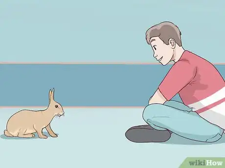 Image intitulée Pet a Rabbit Step 3