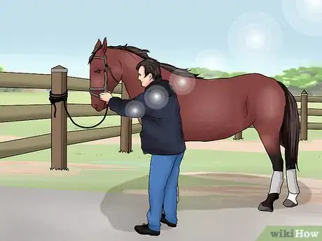 Image intitulée Bridle a Horse Step 16