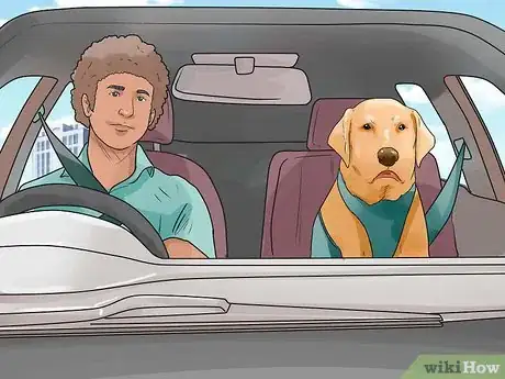 Image intitulée Deal With Your Dog's Fear of Vehicles Step 10