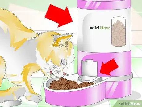 Image intitulée Slow Down a Cat Who Eats Too Fast Step 5