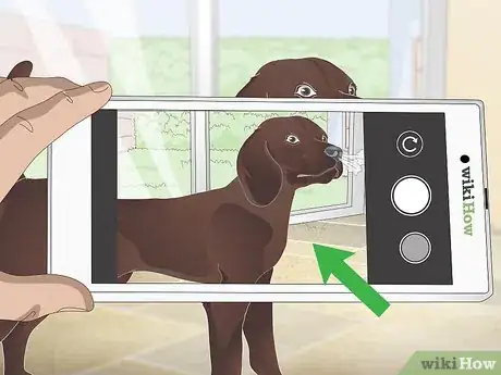 Image intitulée Stop Reverse Sneezing in Dogs Step 10