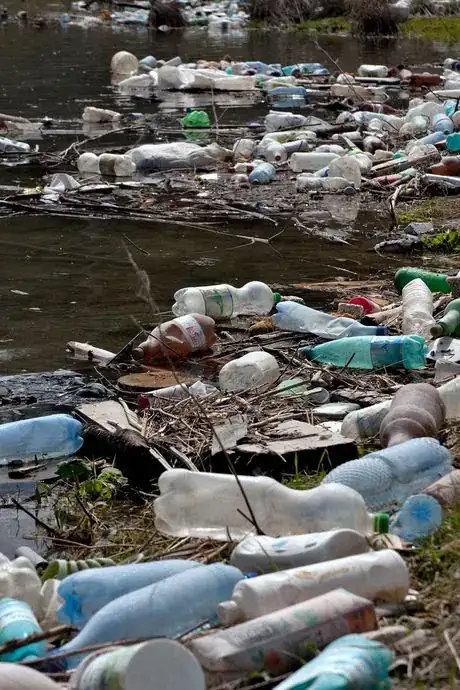 Image intitulée Plastic bottles and garbage on the bank of a river