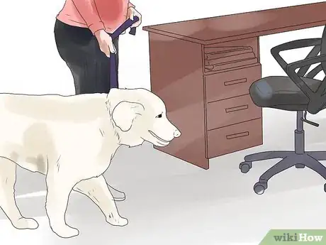 Image intitulée Bond With Your Dog Step 16
