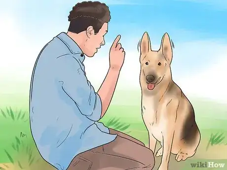 Image intitulée Tape Up Stubborn German Shepherd Puppy Ears Step 15