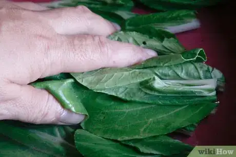 Image intitulée Cook Collard Greens Step 2