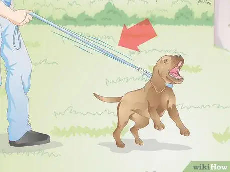 Image intitulée Make a Dog Collar Step 15