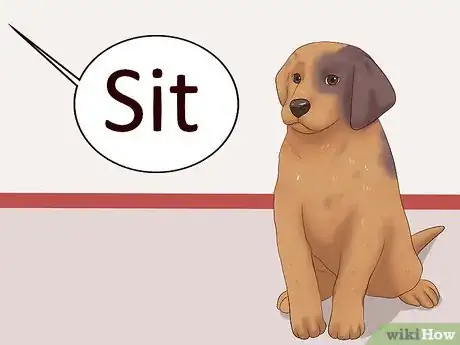 Image intitulée Teach Your Puppy to Lie Down Step 4