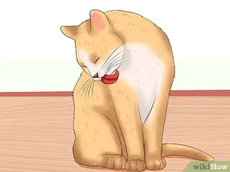 Image intitulée Know if a Cat Is Stressed Step 4