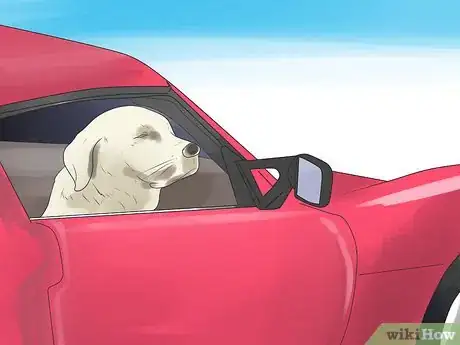 Image intitulée Bond With Your Dog Step 20