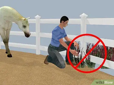 Image intitulée Look After a Horse Step 13