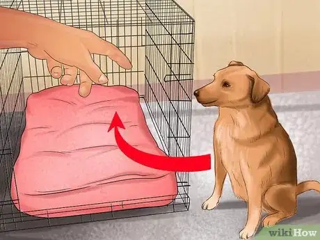 Image intitulée Crate Train Your Dog or Puppy Step 18