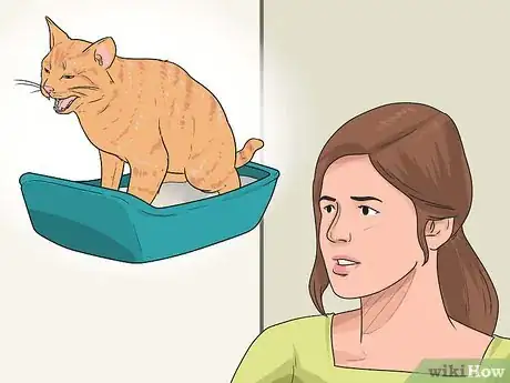 Image intitulée Retrain a Cat to Use the Litter Box Step 6