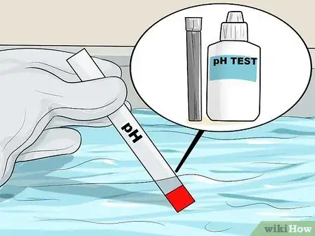 Image intitulée Eliminate and Prevent Green Algae in a Swimming Pool Step 4