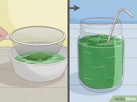 Image intitulée Grow Spirulina at Home Step 12