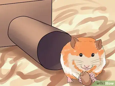 Image intitulée Build Hamster Toys out of Household Items Step 19
