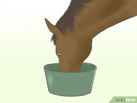 Image intitulée Get a Horse Fit Step 15