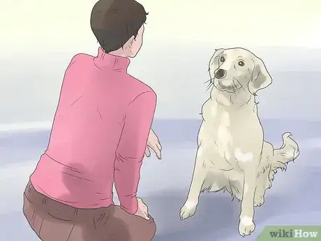 Image intitulée Bond With Your Dog Step 13