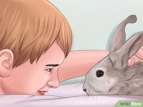 Image intitulée Make Your Rabbit Like You Step 9