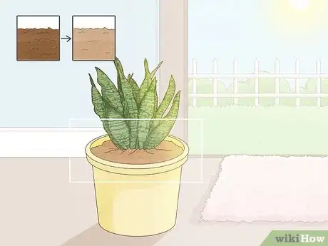 Image intitulée Get Rid of Mold on Houseplants Step 2