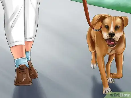 Image intitulée Get a Dog to Vomit Step 7
