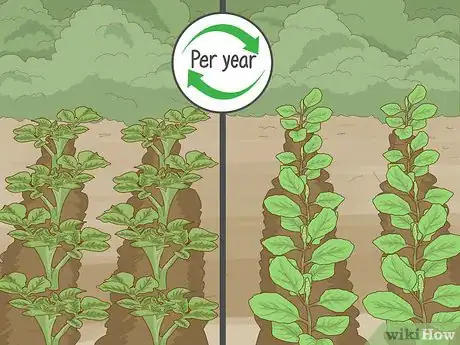 Image intitulée Improve Soil Step 7