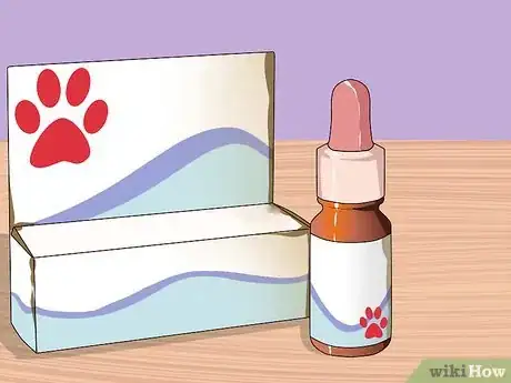 Image intitulée Get Rid of Ear Mites in a Cat Step 6