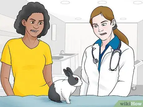 Image intitulée Stop a Rabbit's Biting Habit Step 12