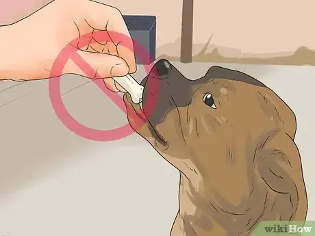 Image intitulée Catch a Stray Dog Step 17