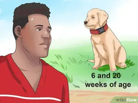 Image intitulée Tell if Your Dog Has Parvo Step 1