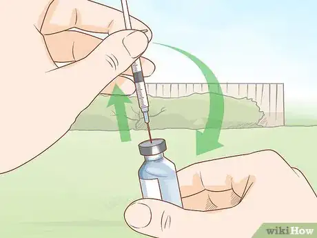 Image intitulée Give Cattle Injections Step 14