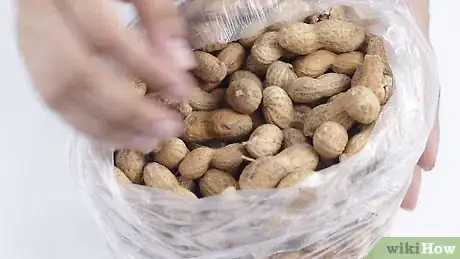 Image intitulée Boil Peanuts Step 1