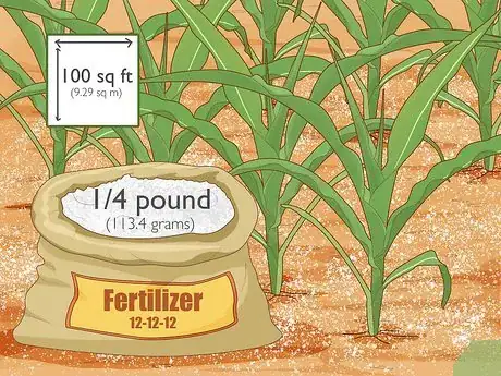 Image intitulée Grow Popcorn Step 7