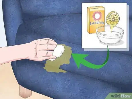 Image intitulée Remove Dog Saliva Stains Step 10