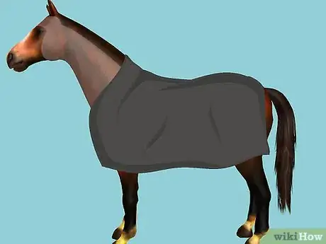 Image intitulée Clip Your Horse Step 22