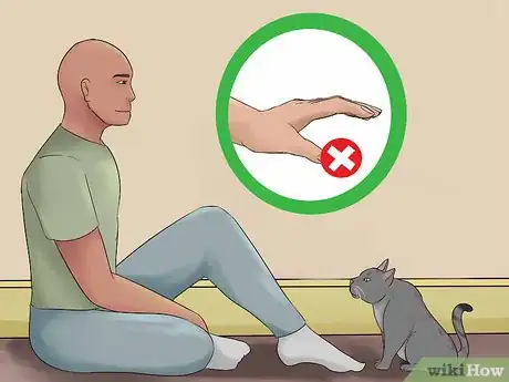 Image intitulée Get Your Cat to Know and Love You Step 4