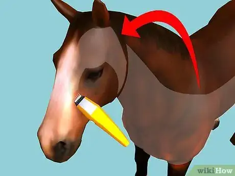 Image intitulée Clip Your Horse Step 19