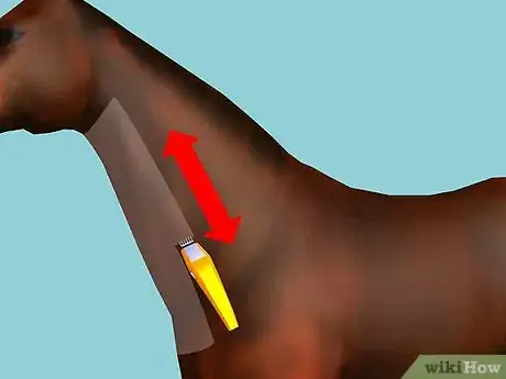 Image intitulée Clip Your Horse Step 17