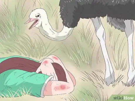 Image intitulée Survive an Encounter with an Ostrich Step 5