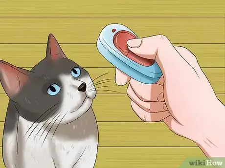 Image intitulée Get a Cat to Stop Meowing Step 13