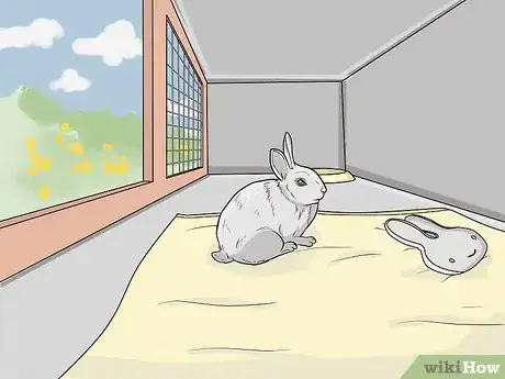 Image intitulée Clean a Rabbit Hutch Step 26
