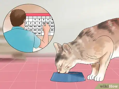 Image intitulée Move with a Cat Step 13